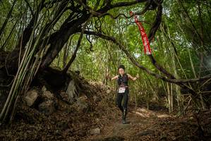 BIB: 
                            <button type="button" onclick="openModal(22178506)" class="btn btn-primary btn-sm float-right btn-popup" data-toggle="modal" data-target=".modal-high-quality">
                        <i class="fas fa-shopping-cart"></i> Add to Cart
                    </button>
                                            <button type="button" onclick="isThisMe(22178506, true)" class="btn btn-success btn-sm float-right btn-popup btn-isme hidden" data-toggle="tooltip" data-placement="bottom" title="นี่คือรูปของคุณใช่ไหม คลิกที่นี่เพื่อเอาเข้าอัลบั้ม">
                        <i class="fas fa-plus"></i> Add to album
                    </button>
                    <button type="button" onclick="isThisMe(22178506, false)" class="btn btn-warning btn-sm float-right btn-popup btn-isnotme hidden">
                        <i class="fas fa-ban"></i> Remove from album
                    </button>